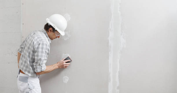 Best Water Damage & Mold Remediation  in West Hempstead, NY