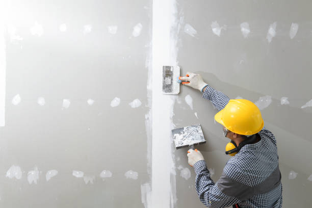 Best Asbestos and Lead Testing During Mold Inspection  in West Hempstead, NY