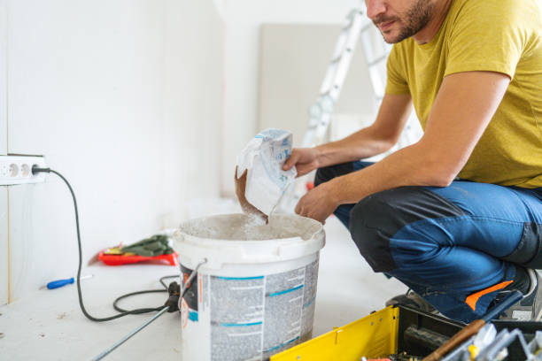 Best Attic Mold Removal  in West Hempstead, NY