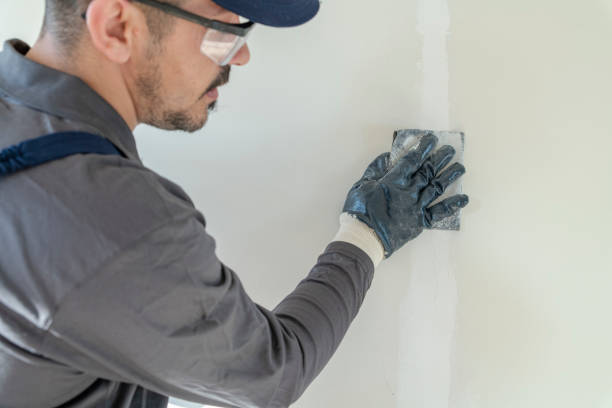 Best Black Mold Removal  in West Hempstead, NY