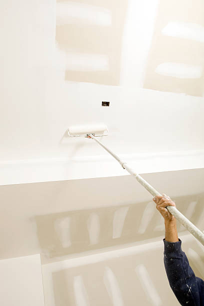 Best Mold Damage Restoration  in West Hempstead, NY