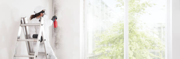 Best Forensic Mold Investigation  in West Hempstead, NY