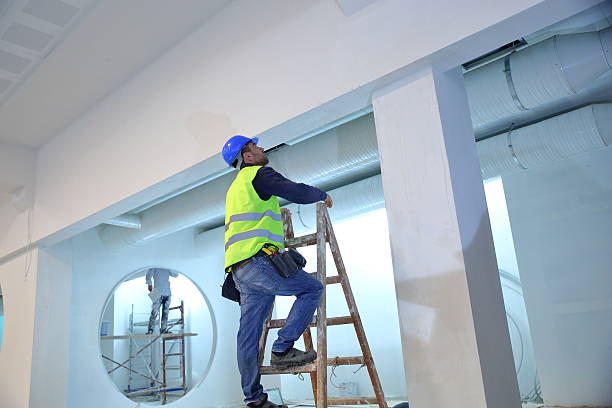 Trusted West Hempstead, NY Mold Removal Experts